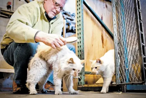 408.wk.fob.ld.catstowork